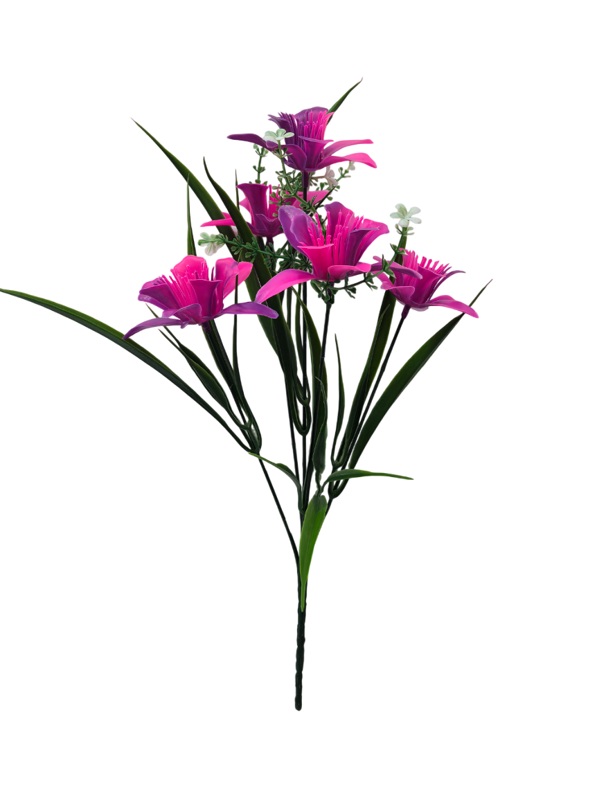 20251205_143344_Photoroom _1_.png